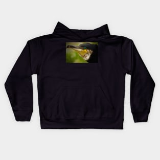 PREHISTORIC BIRD Kids Hoodie